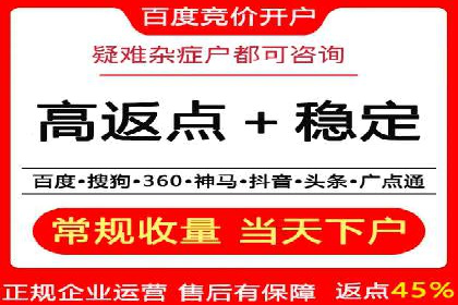 行业报告：专业SEM托管的成功实践与挑战
